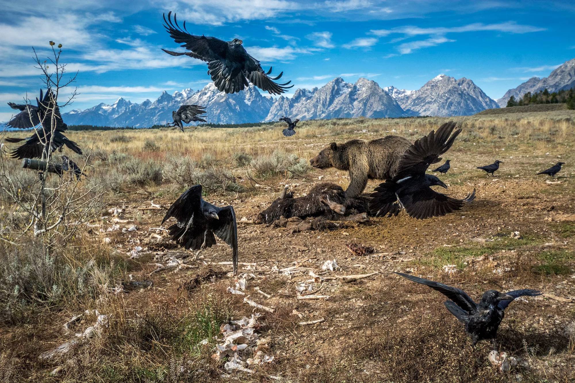 As Melhores Imagens Da National Geographic Do S Culo Xxi