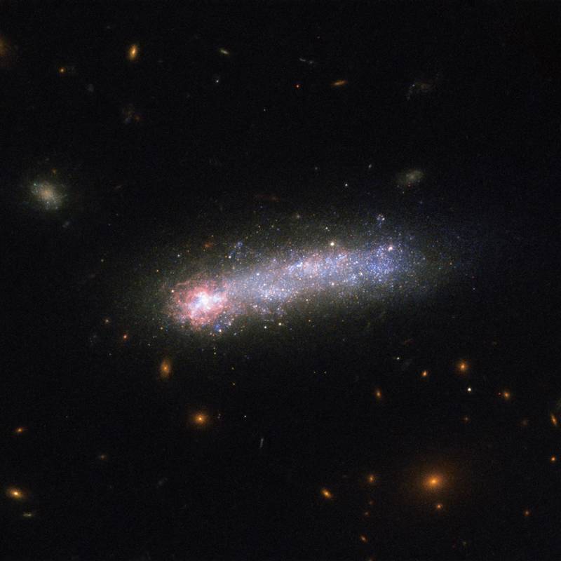 1 Dwarf galaxy Kiso 5639