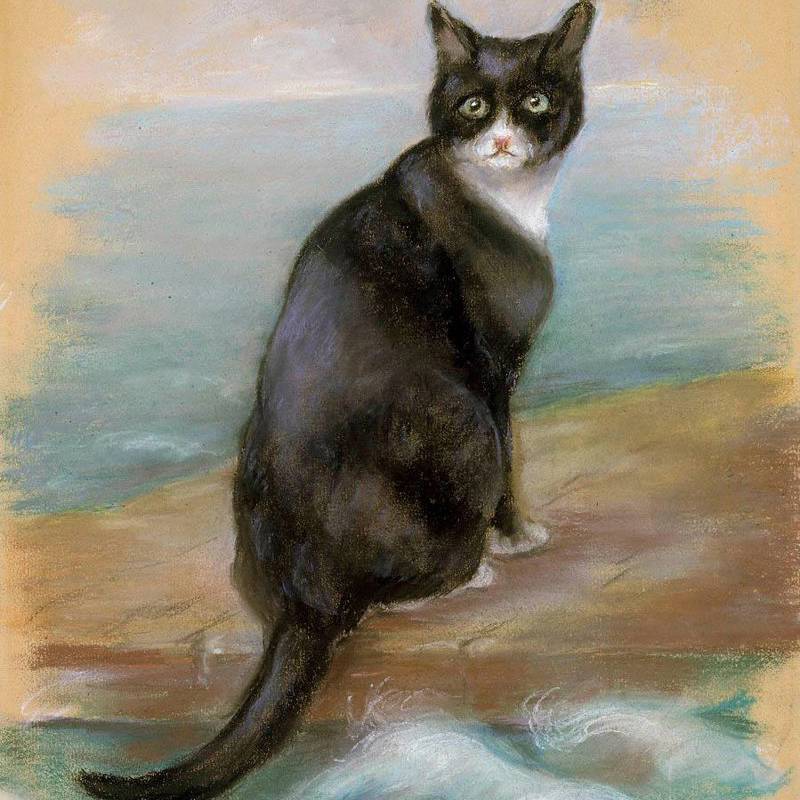 Segunda Guerra Mundial: Sam, ou a lenda do gato que sobreviveu a 3 naufrágios 