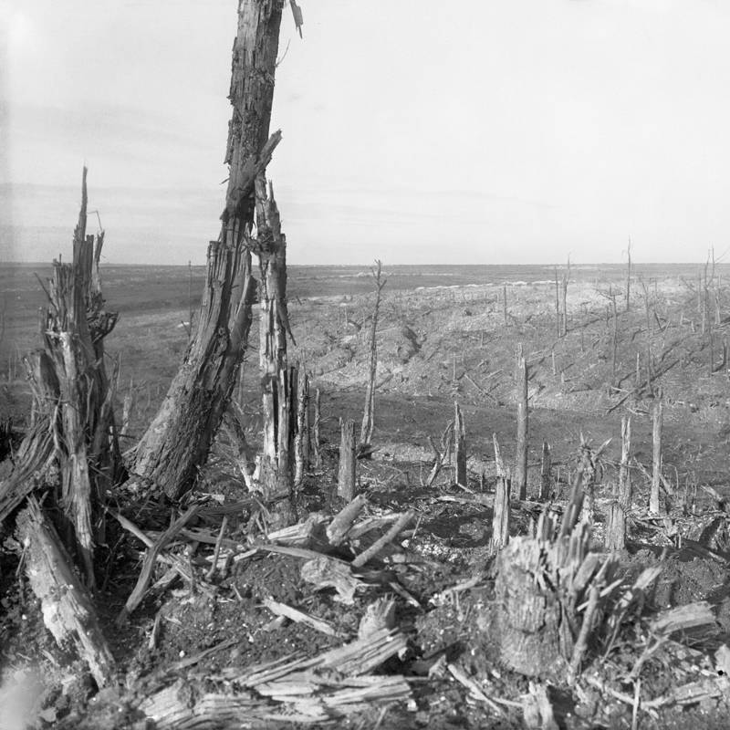 Beaumont Hamel_-_La_vista_general_del_campo_de_batalla_(Ernest Brooks)