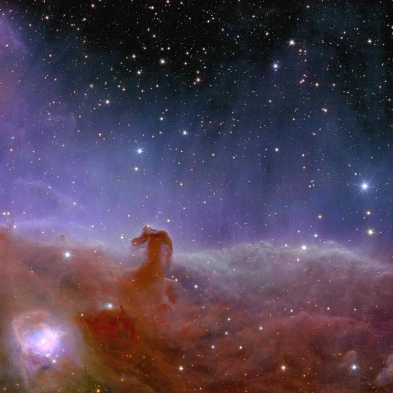 Euclid s view of the Horsehead Nebula article
