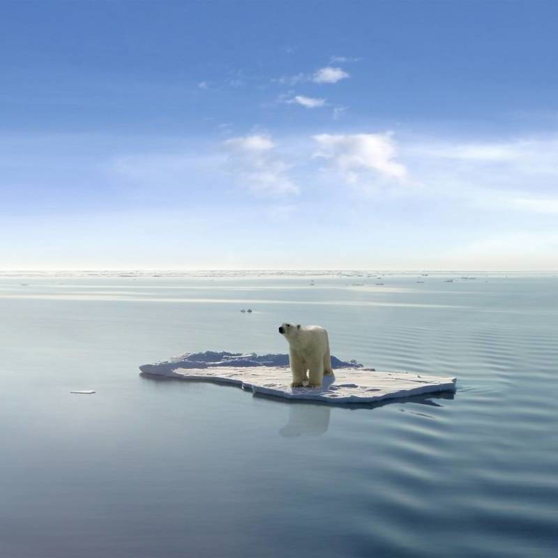 un oso polar resiste sobre una pequena plataforma de hielo e45a82d0