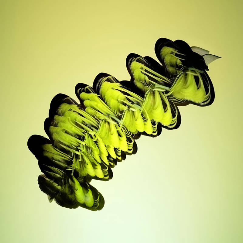 As "Entomografias", de Xavi Bou, transformam os insectos em obras de arte
