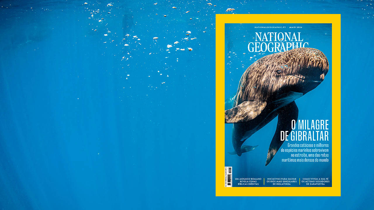Nas bancas: National Geographic de Maio 