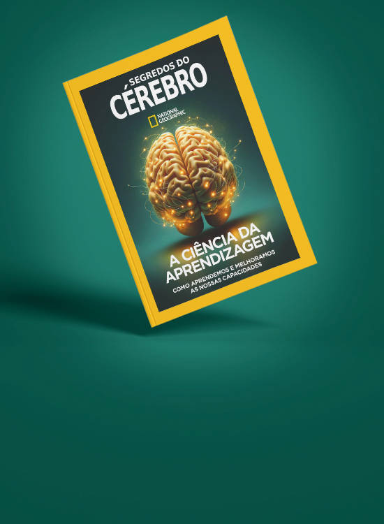 Nas bancas: Edição Especial "Segredos do Cérebro" dedicada à aprendizagem