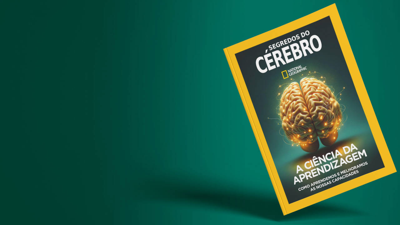 Nas bancas: Edição Especial "Segredos do Cérebro" dedicada à aprendizagem