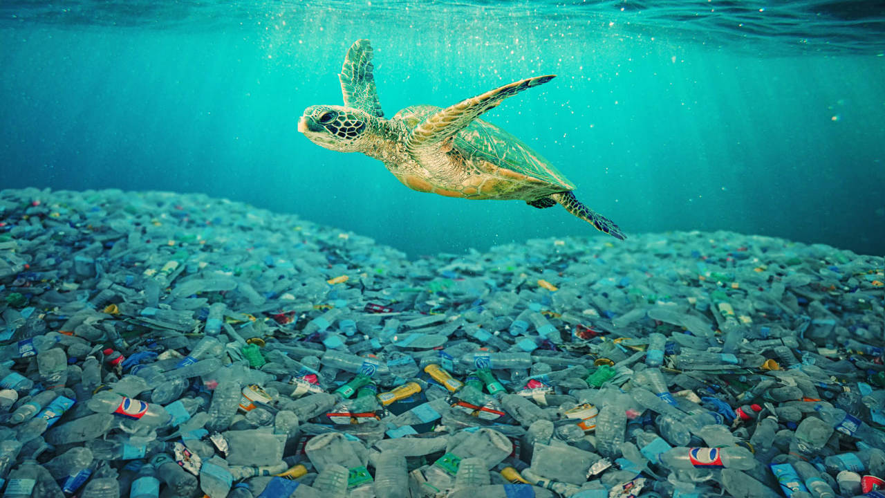 Dia Mundial da Reciclagem: 6 curiosidades sobre o plástico