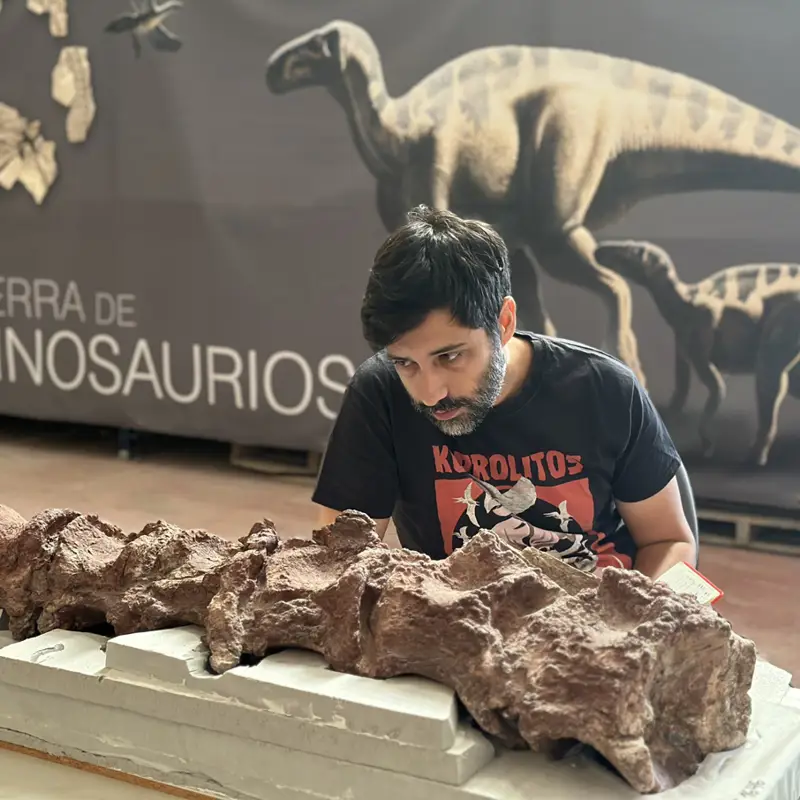 Pedro Mocho: “A lei é ainda um pouco dúbia na definição do património paleontológico.”