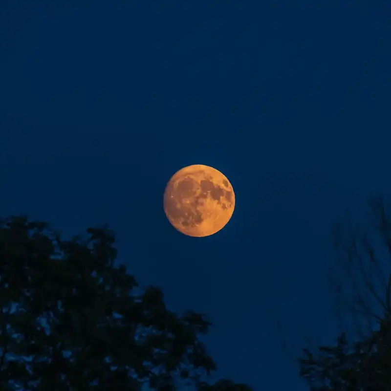 Super-Lua da Colheita 2024, uma lua cheia especial