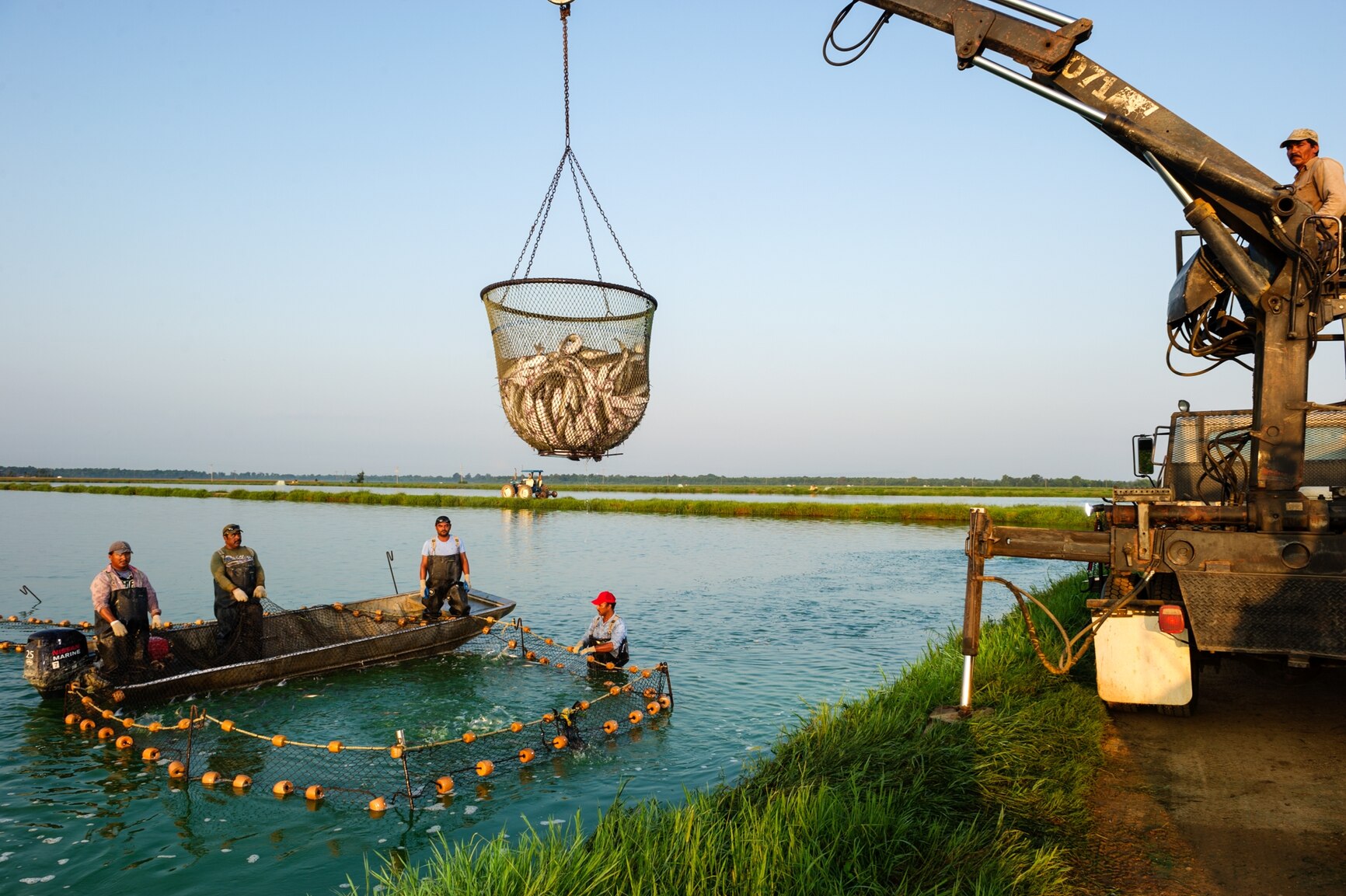 A aquicultura poderá ser a solução para a pesca excessiva?