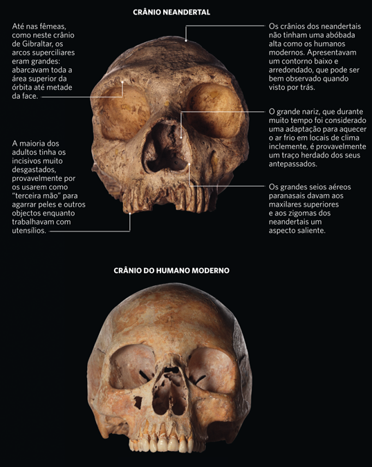 Neandertal, a outra espécie humana que viveu há 500 mil anos
