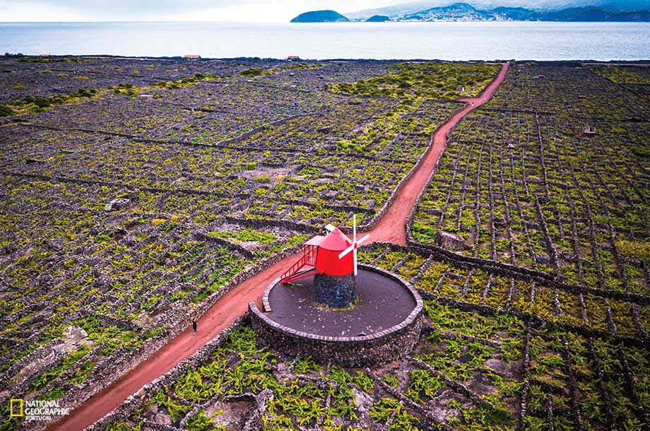 Ilha do Pico em Açores 