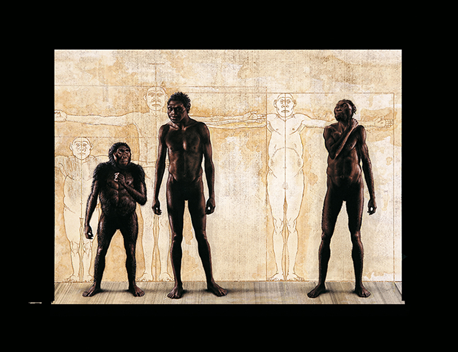 Ancestral Roda Descoberta Da Roda Pelo Homem Primitivo