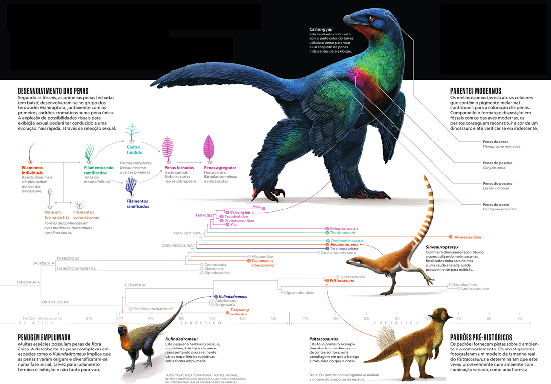 Reimaginando os Dinossauros
